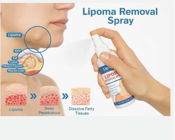 WhatsApp Image 2025-09-22 at 8.12.50 PM