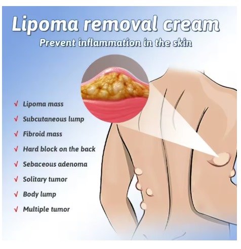 WhatsApp Image 2025-09-22 at 8.12.51 PM